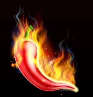 Hot Chilli Pepper on Fire