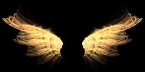 angel wings